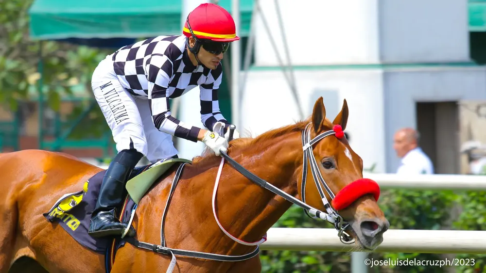 WhatsApp Image 2023-11-12 at 2.24.41 PM