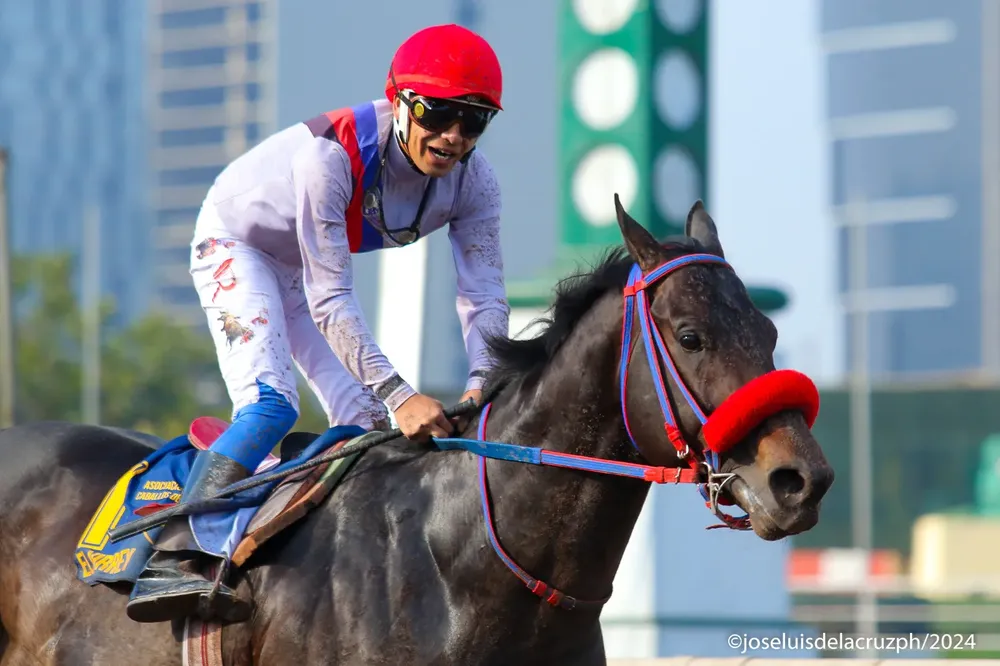 WhatsApp Image 2024-08-26 at 13.01.45