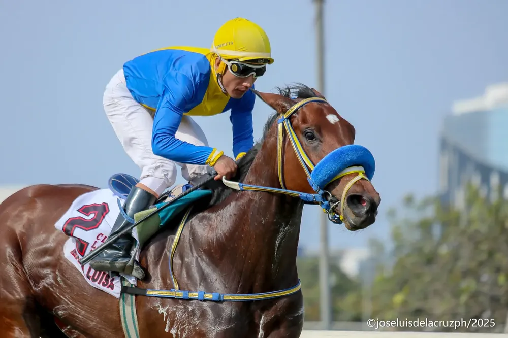 WhatsApp Image 2025-11-15 at 5.38.57 PM