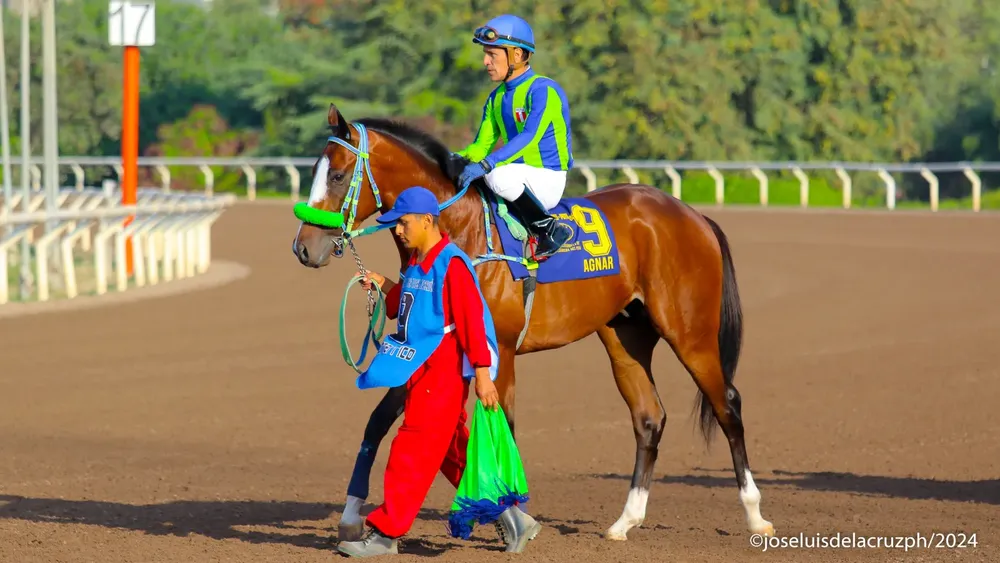 WhatsApp Image 2024-02-28 at 3.52.08 PM