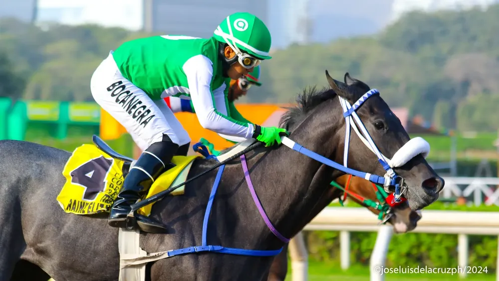 WhatsApp Image 2024-05-05 at 17.15.44