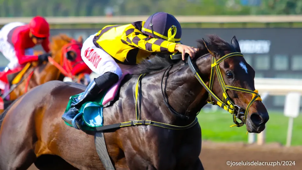 WhatsApp Image 2024-04-21 at 16.24.48