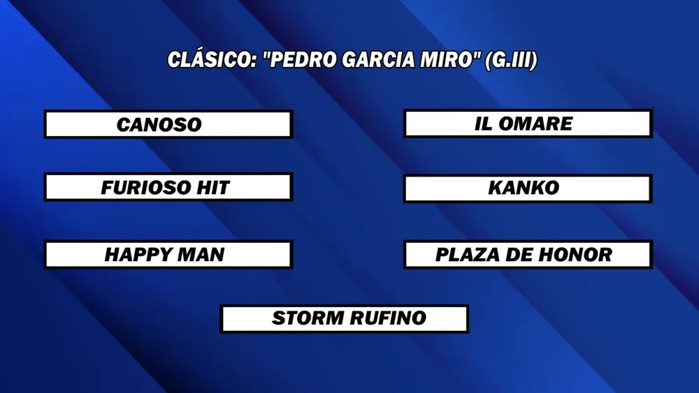 WhatsApp Image 2025-06-16 at 13.53.51