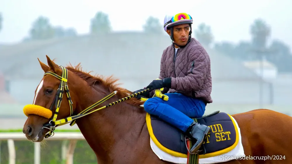 WhatsApp Image 2024-06-03 at 10.19.11