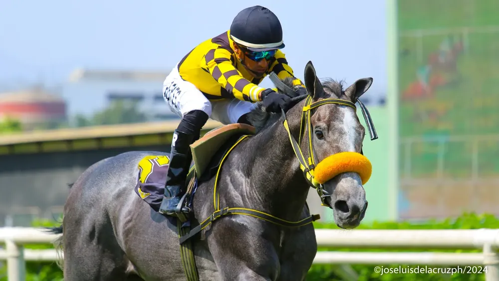 WhatsApp Image 2024-01-21 at 2.55.50 PM