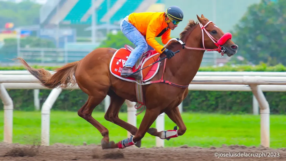 WhatsApp Image 2023-12-12 at 11.05.51 AM