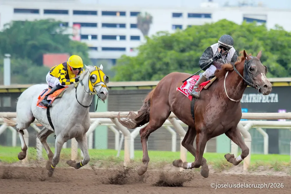 WhatsApp Image 2026-01-18 at 6.25.10 PM (1)