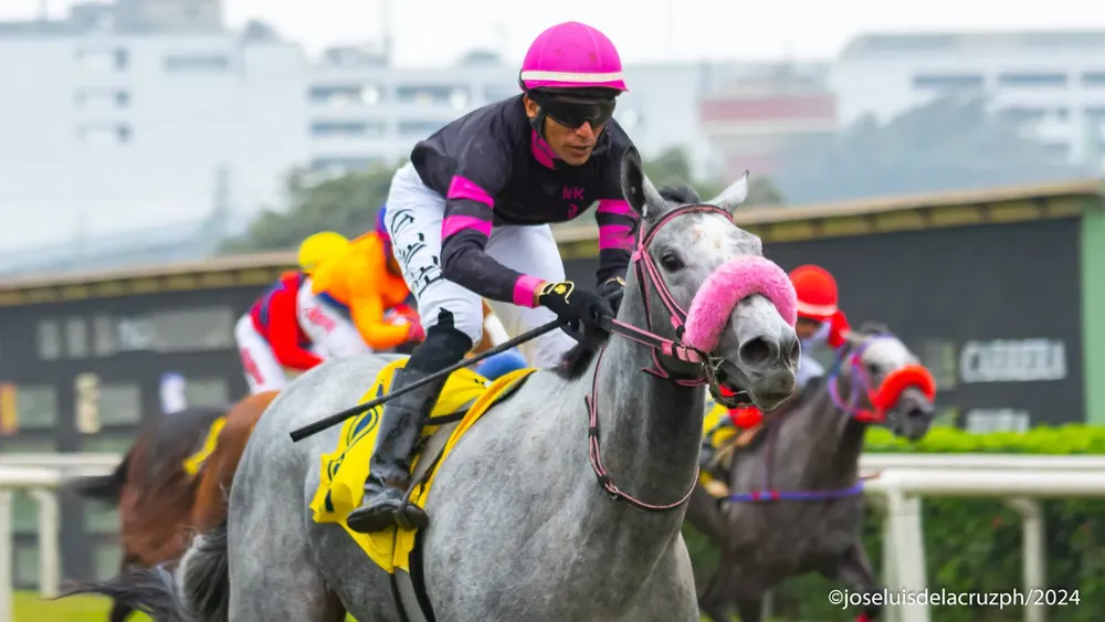 WhatsApp Image 2024-07-07 at 17.15.27