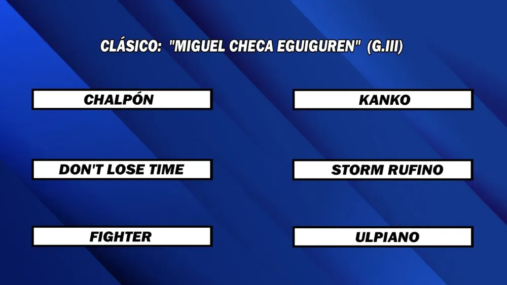 WhatsApp Image 2025-03-10 at 14.25.56