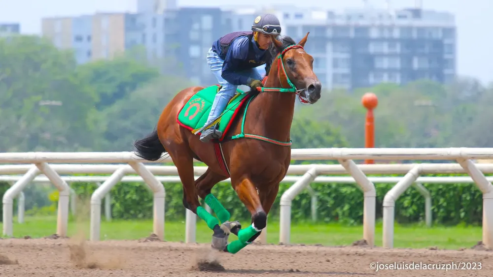 WhatsApp Image 2023-11-15 at 11.21.10 AM