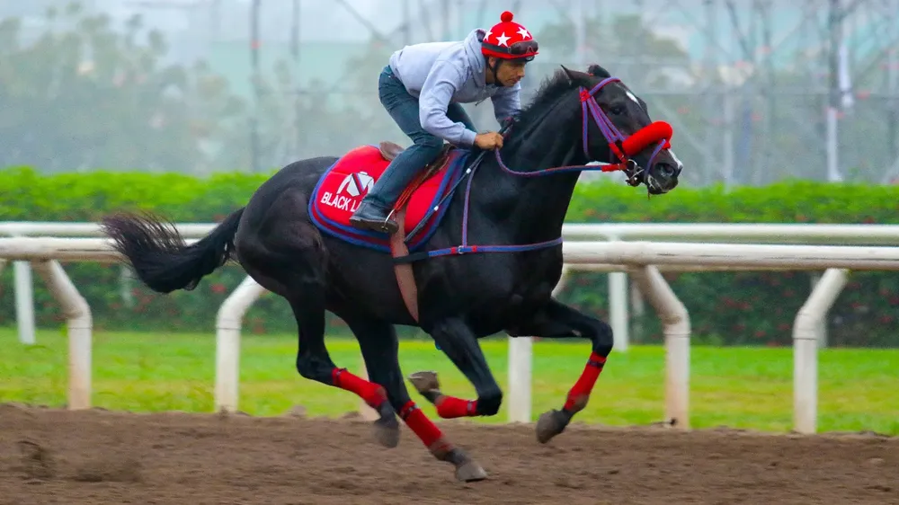 WhatsApp Image 2024-05-29 at 10.48.03