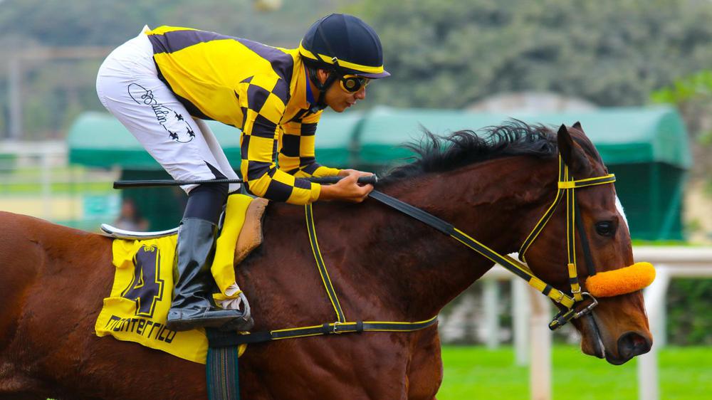 WhatsApp Image 2023-07-22 at 3.09.03 PM