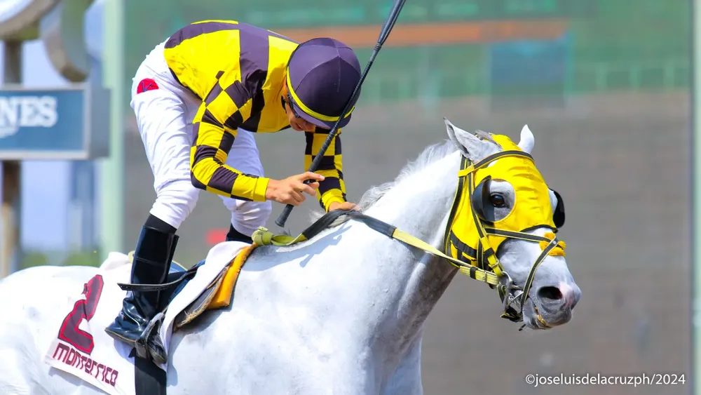 WhatsApp Image 2024-02-05 at 3.12.24 PM