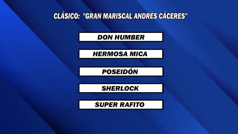 WhatsApp Image 2025-11-24 at 2.30.37 PM