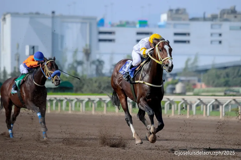 WhatsApp Image 2025-11-29 at 9.24.31 PM