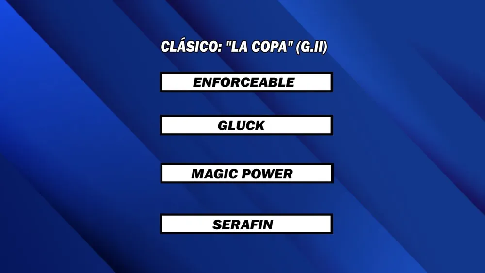 WhatsApp Image 2025-05-05 at 13.54.48 (1)