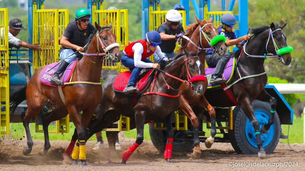 WhatsApp Image 2024-02-21 at 11.52.04 AM