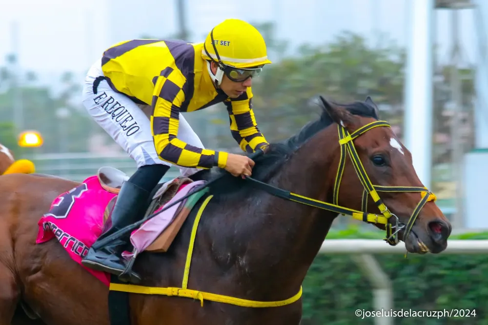 WhatsApp Image 2024-08-11 at 10.36.22 (1)