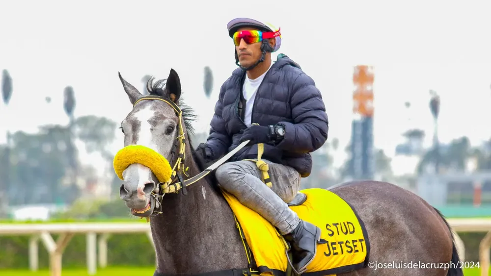 WhatsApp Image 2024-07-01 at 10.51.52