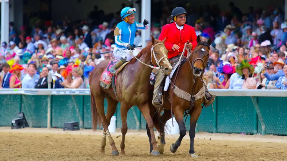 WhatsApp Image 2023-10-29 at 1.07.34 PM