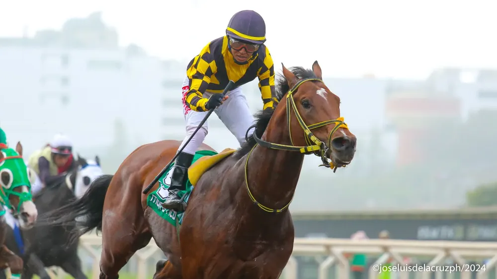 WhatsApp Image 2024-05-27 at 16.24.25