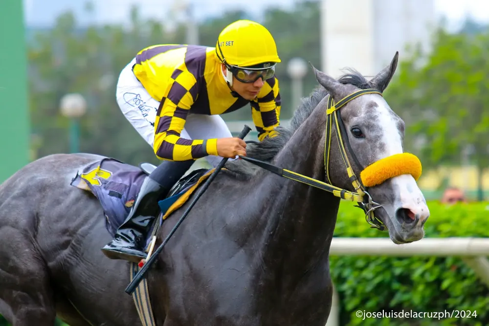 WhatsApp Image 2024-08-03 at 20.40.21