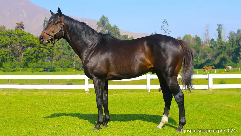 WhatsApp Image 2024-06-14 at 12.27.47