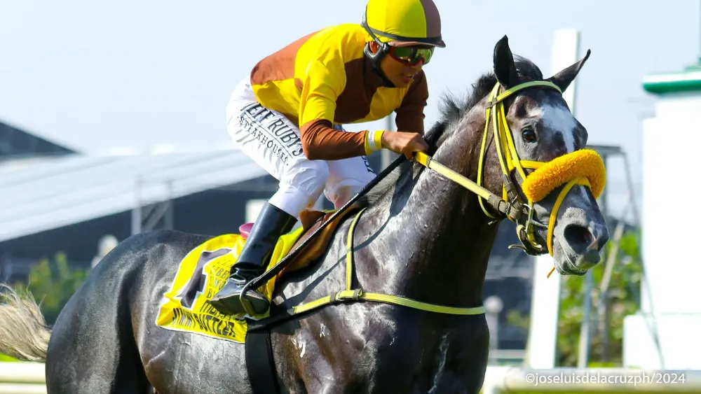 WhatsApp Image 2024-05-18 at 15.50.46