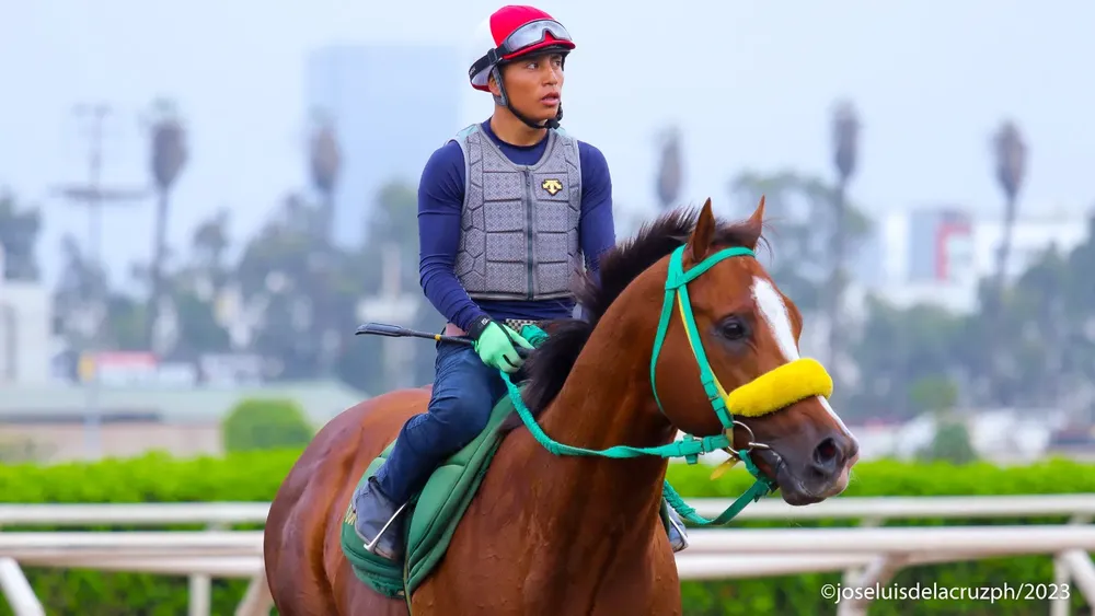 WhatsApp Image 2023-11-28 at 10.57.26 AM