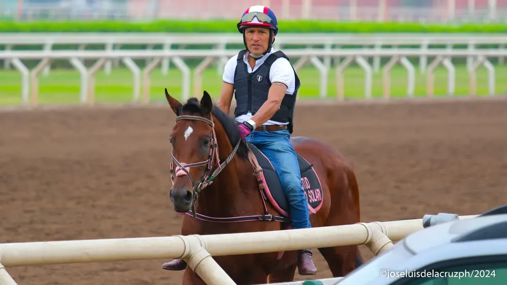 WhatsApp Image 2024-02-27 at 5.29.52 PM