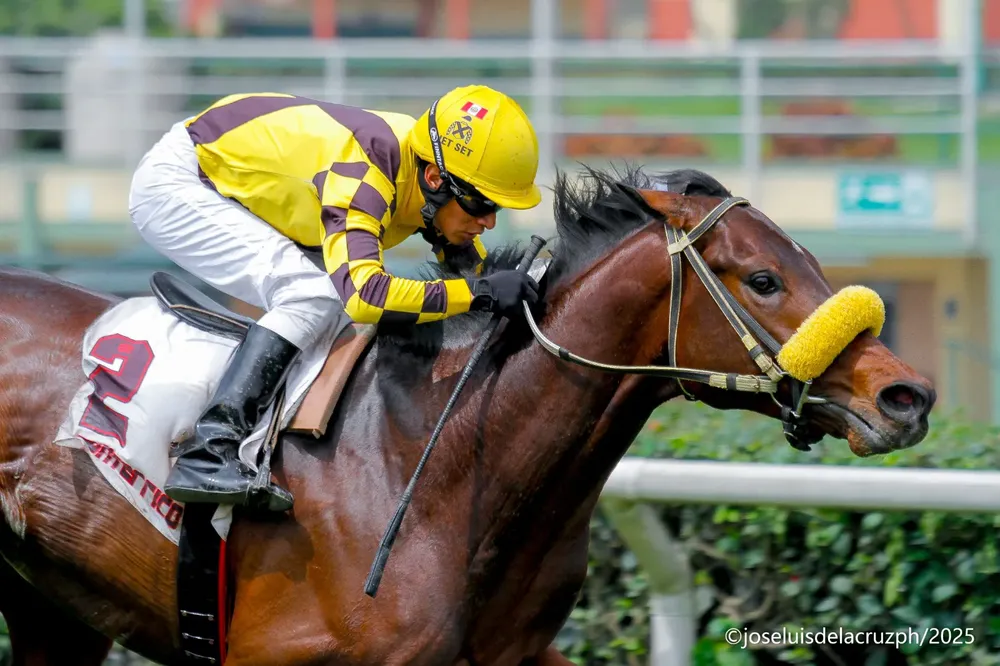 WhatsApp Image 2025-10-26 at 2.40.15 PM