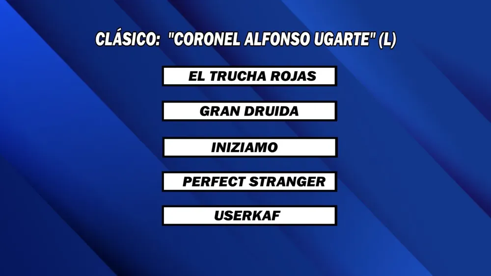 WhatsApp Image 2025-05-26 at 14.13.58