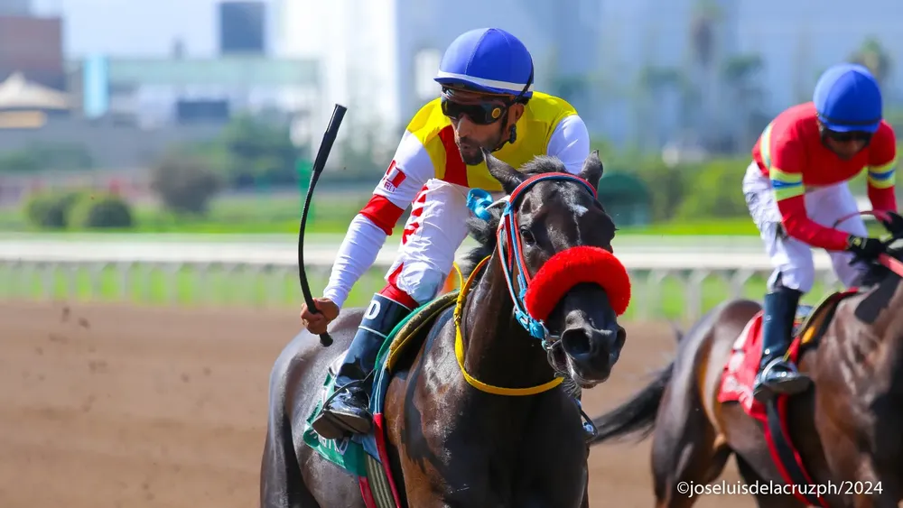 WhatsApp Image 2024-05-13 at 13.59.47