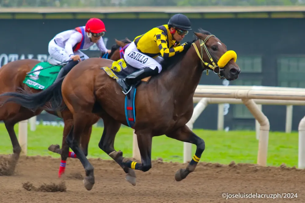 WhatsApp Image 2024-09-29 at 10.51.30