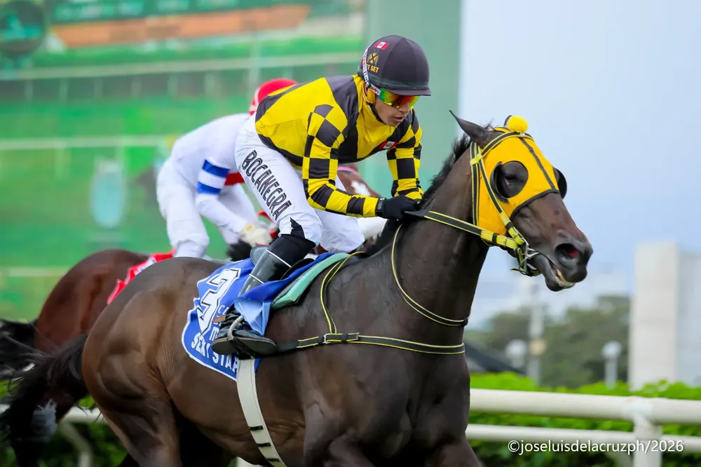 WhatsApp Image 2026-02-04 at 5.17.48 PM (1)