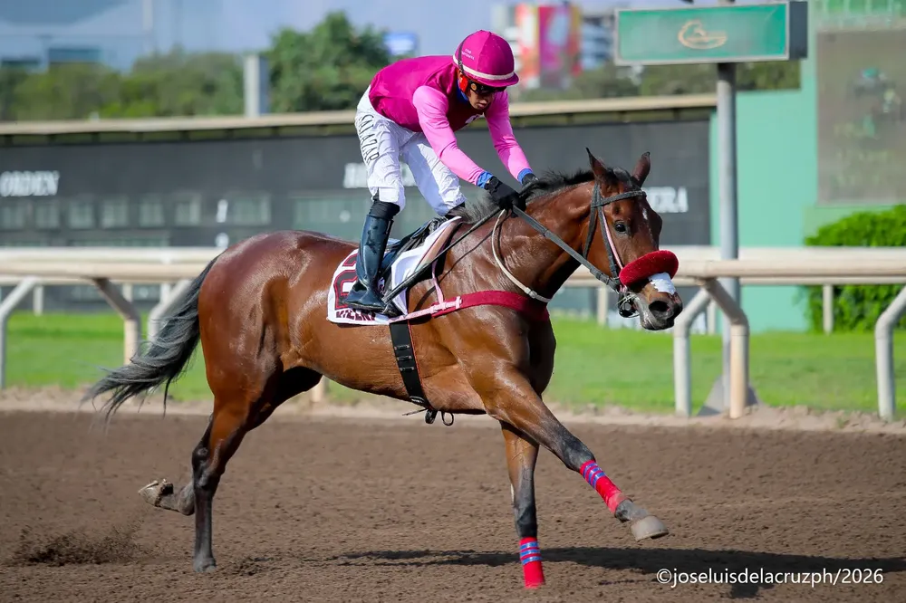 WhatsApp Image 2026-02-14 at 8.47.42 PM