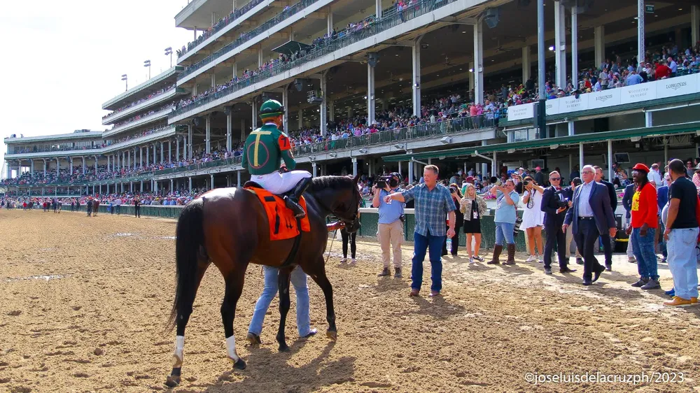 WhatsApp Image 2024-05-02 at 15.33.18