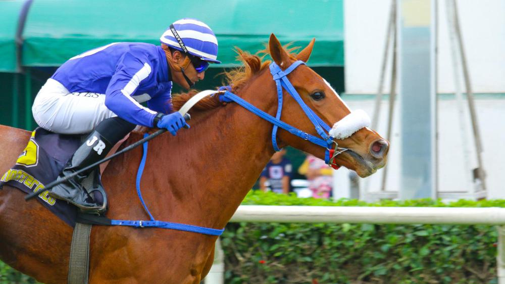 WhatsApp Image 2023-09-02 at 3.24.14 PM