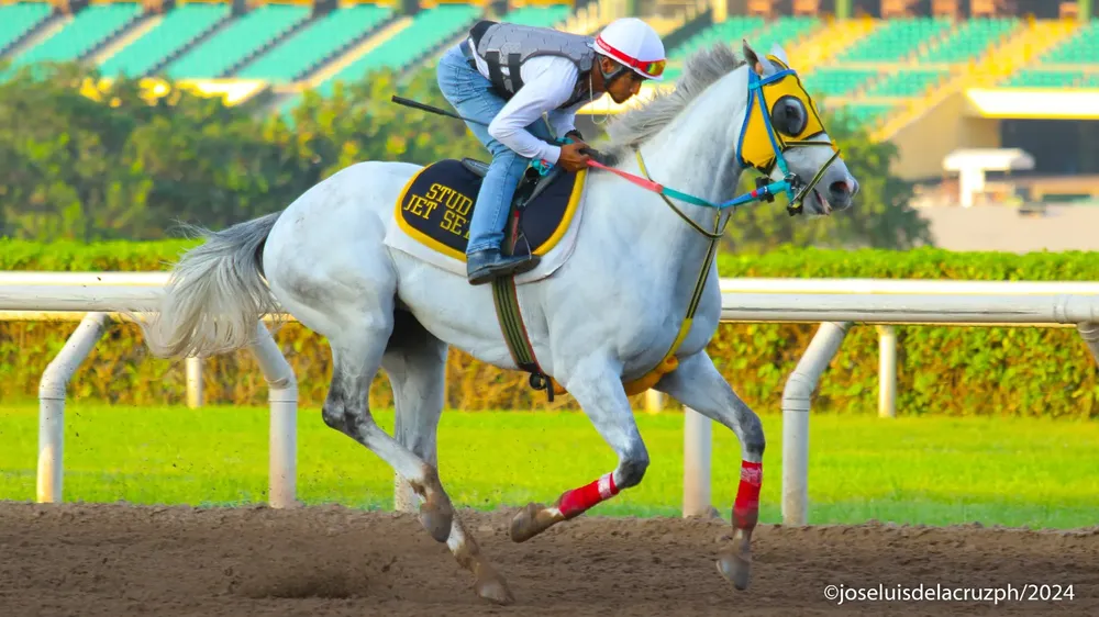 WhatsApp Image 2024-03-14 at 11.35.16 AM