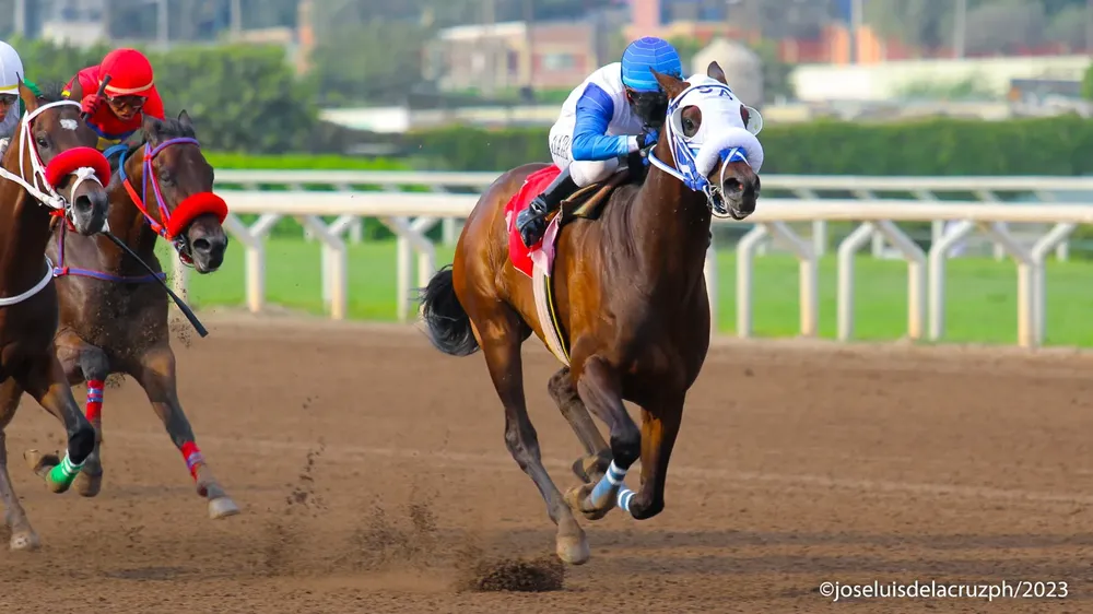 WhatsApp Image 2023-11-25 at 4.54.26 PM