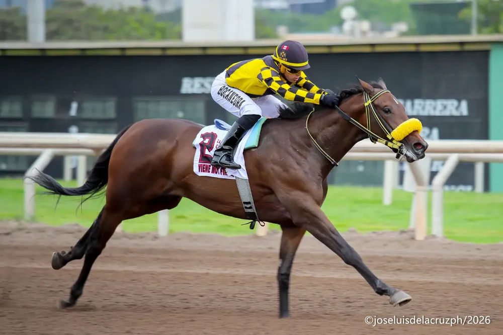 WhatsApp Image 2026-02-04 at 5.17.48 PM