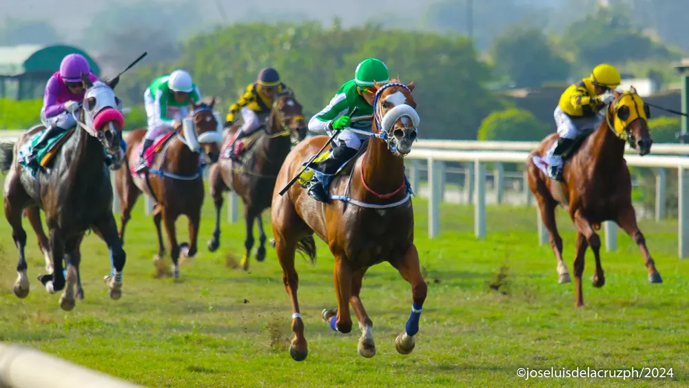 WhatsApp Image 2024-05-25 at 16.06.56