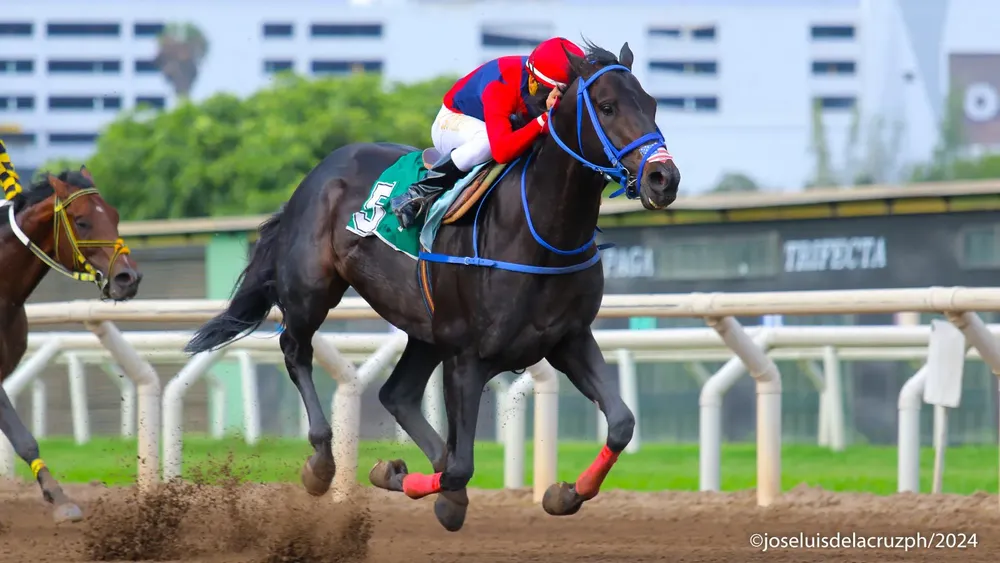 WhatsApp Image 2024-01-22 at 4.35.19 PM