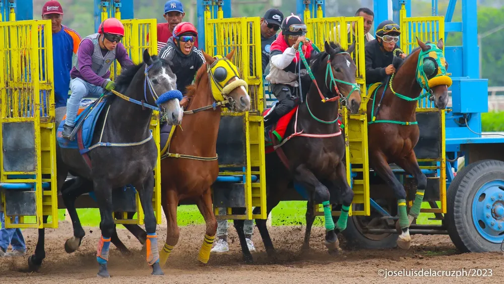 WhatsApp Image 2023-12-22 at 7.50.15 AM