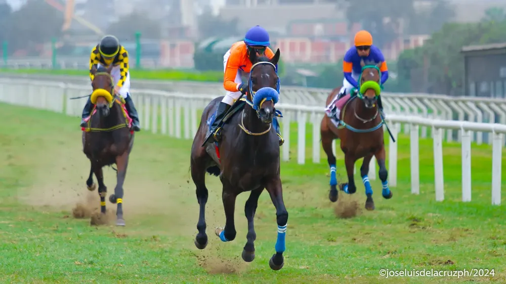 WhatsApp Image 2024-07-08 at 15.16.03