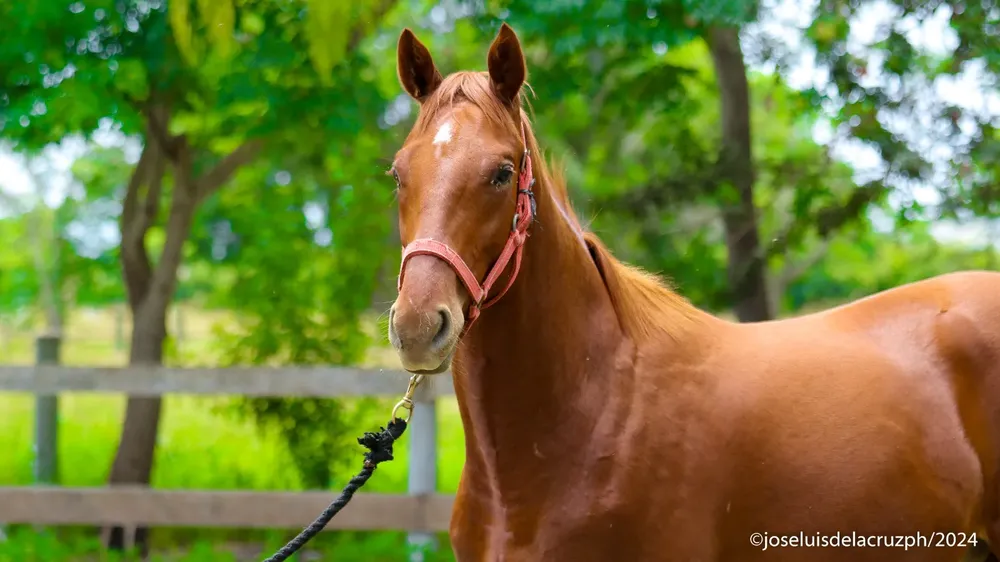 WhatsApp Image 2024-06-05 at 14.12.46