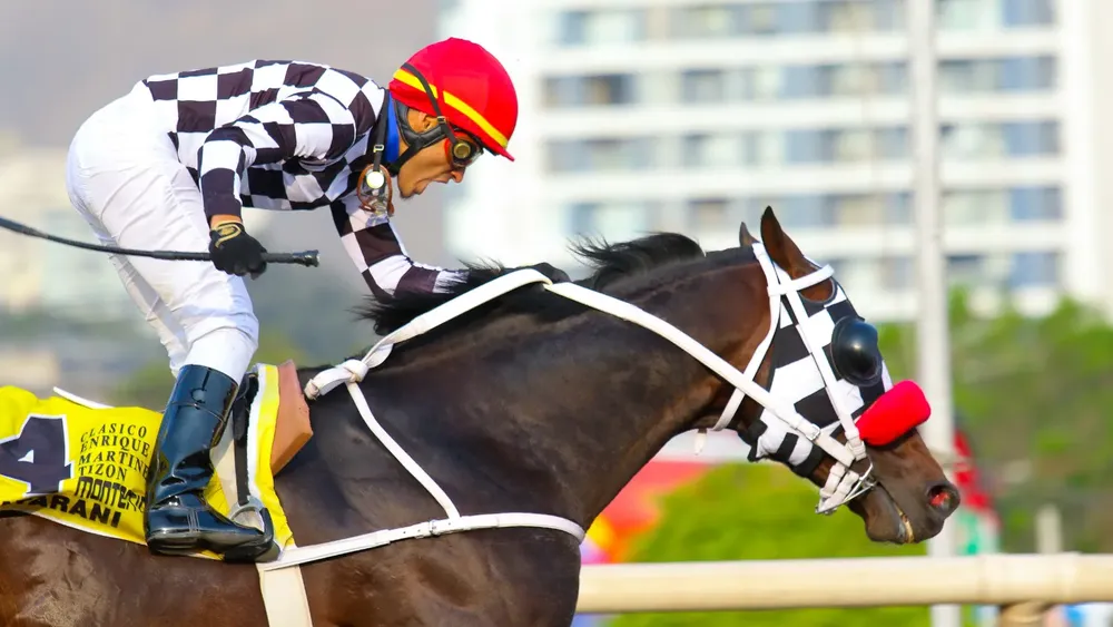 WhatsApp Image 2023-10-28 at 5.15.07 PM