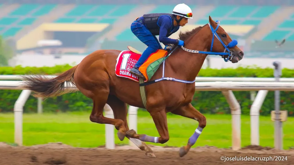 WhatsApp Image 2024-05-03 at 11.49.24