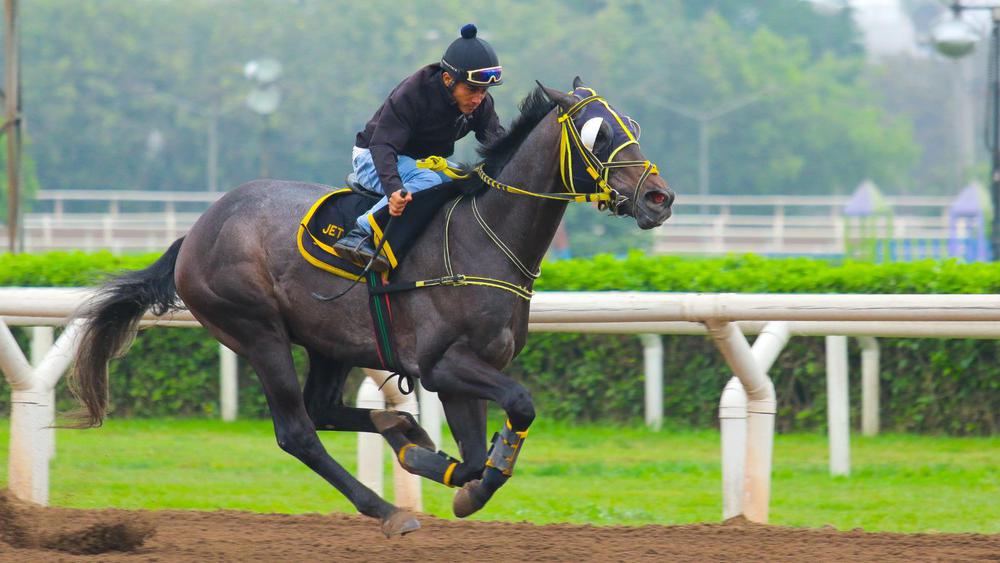 WhatsApp Image 2023-09-19 at 11.28.26 AM