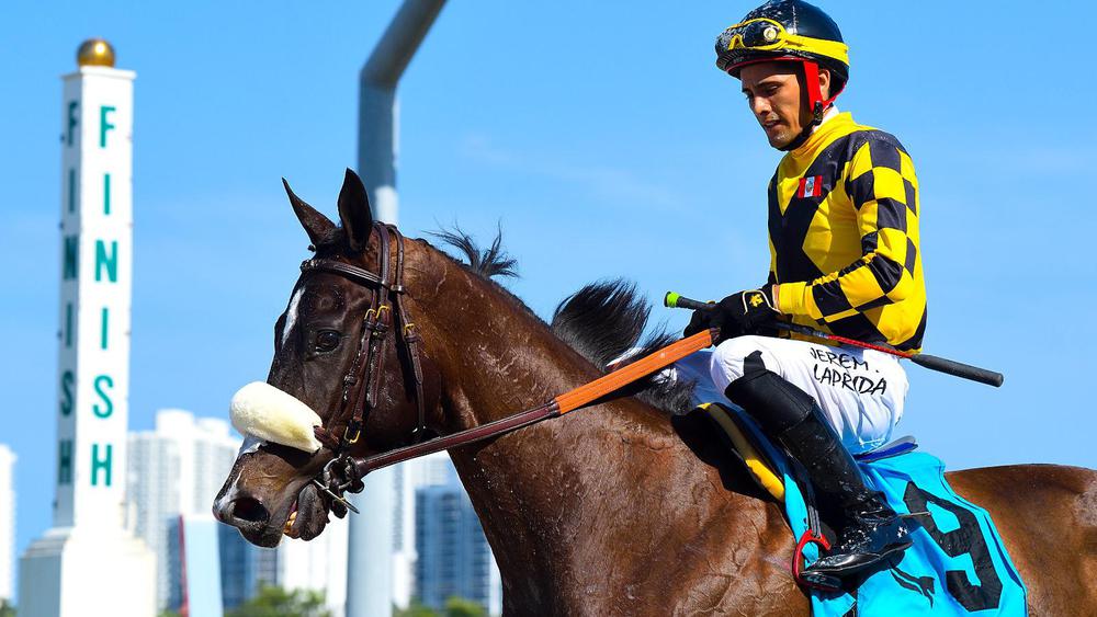 WhatsApp Image 2023-08-11 at 5.47.52 PM